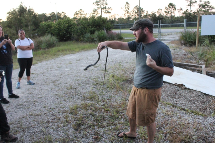 Guide Josh showing a native black racer